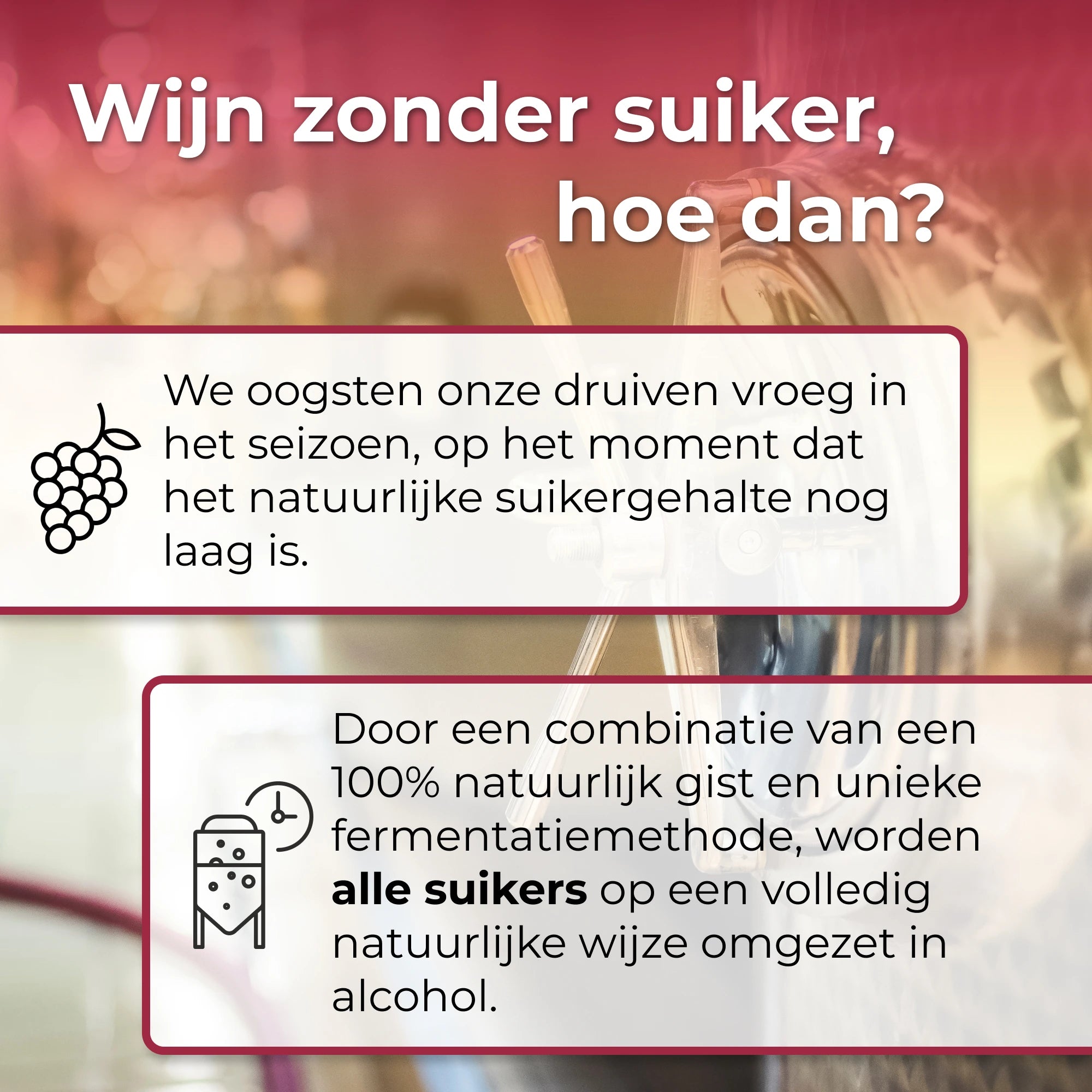 Pacchetto Bestseller